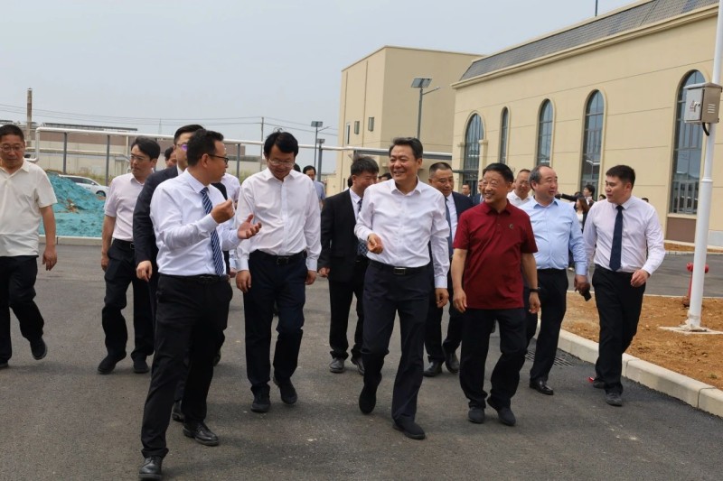 9901752463220354.jpg 6.jpg